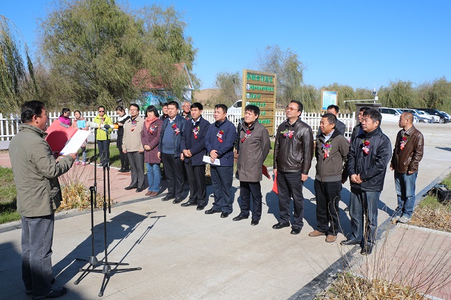 省水科院庆安灌溉试验站,庆安县灌区标准化建设示范基地,院县共建水田